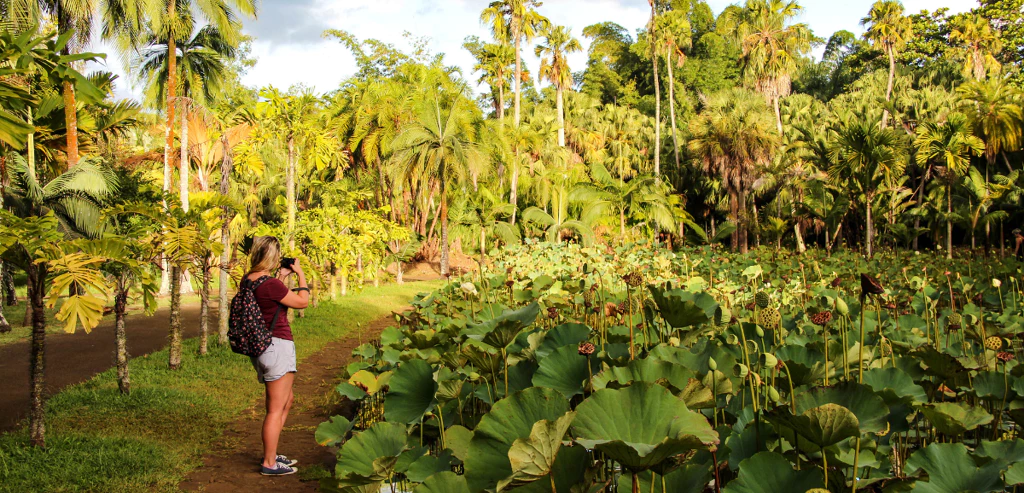 Escapade mauricienne