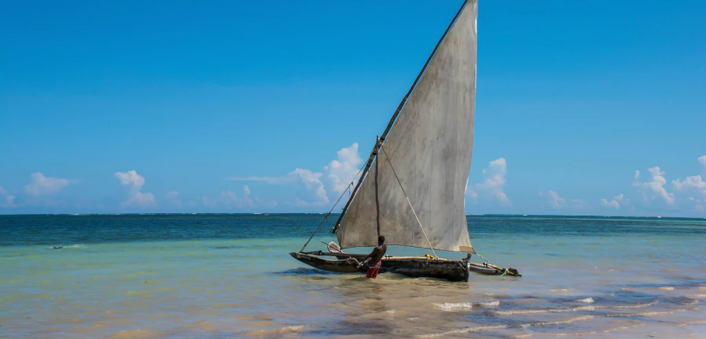 D09b2645 086c 4531 B20b Bf9fd7b7b3d5