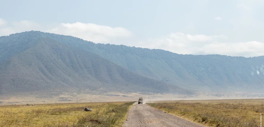 Safari en Tanzanie, sur la piste des Big Five