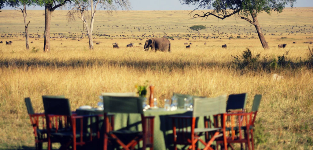 18eb37fe Bd1f 4b8c 8fa8 7c0a8b494c54