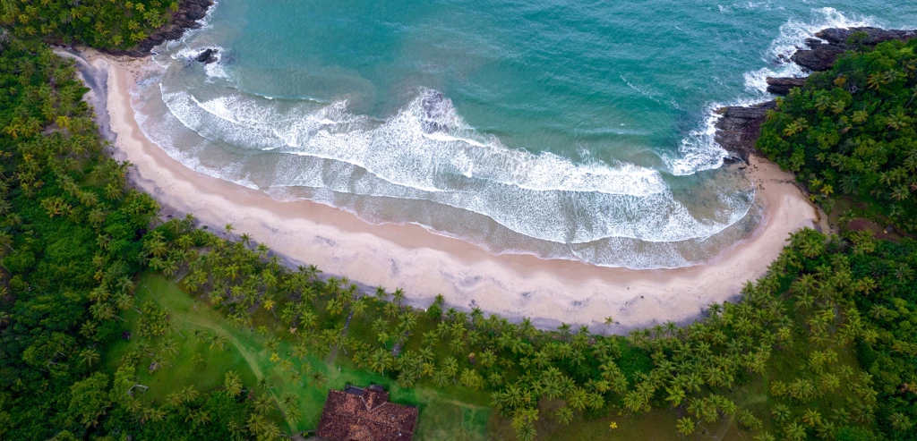 Bb245a55 Ceb8 4551 9490 D00c800964c1