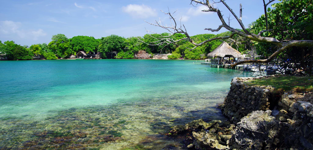 Fd752912 D403 41ca 9536 348902ba89db