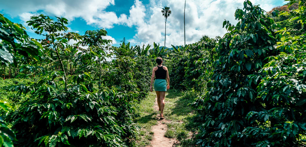 Couleurs de Colombie