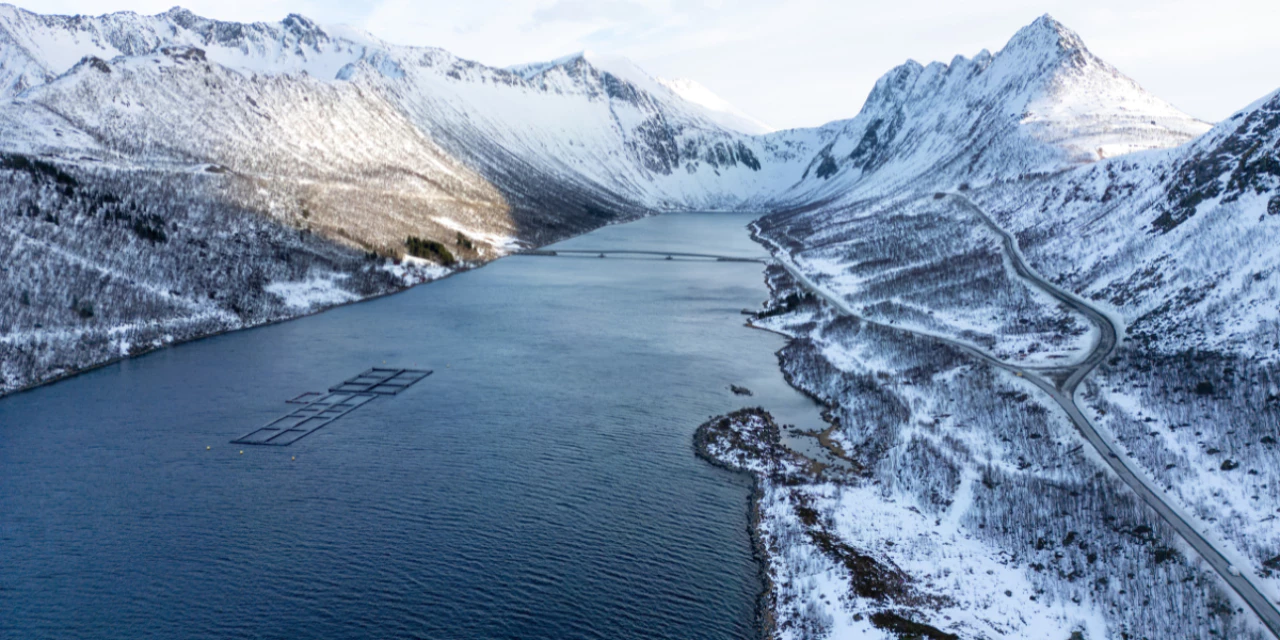 Séjour hivernal au Nord de la Norvège