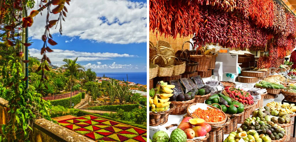 Douceurs et découvertes à Madère