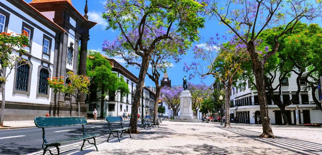 Douceurs et découvertes à Madère