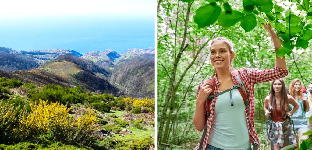 Douceurs et découvertes à Madère