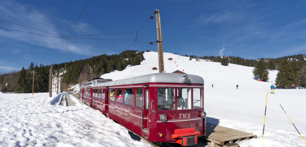 43cd3b06 1fff 4a74 8cc4 0afbf504da7d