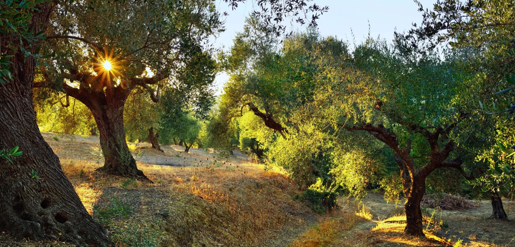 Séjour à la villa des Copines en Grèce