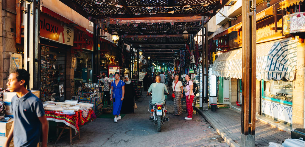 0ff9057c Ab63 4f66 Bc12 1a0d23a7b4d4