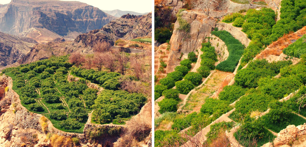 Oman, joyau d'Orient