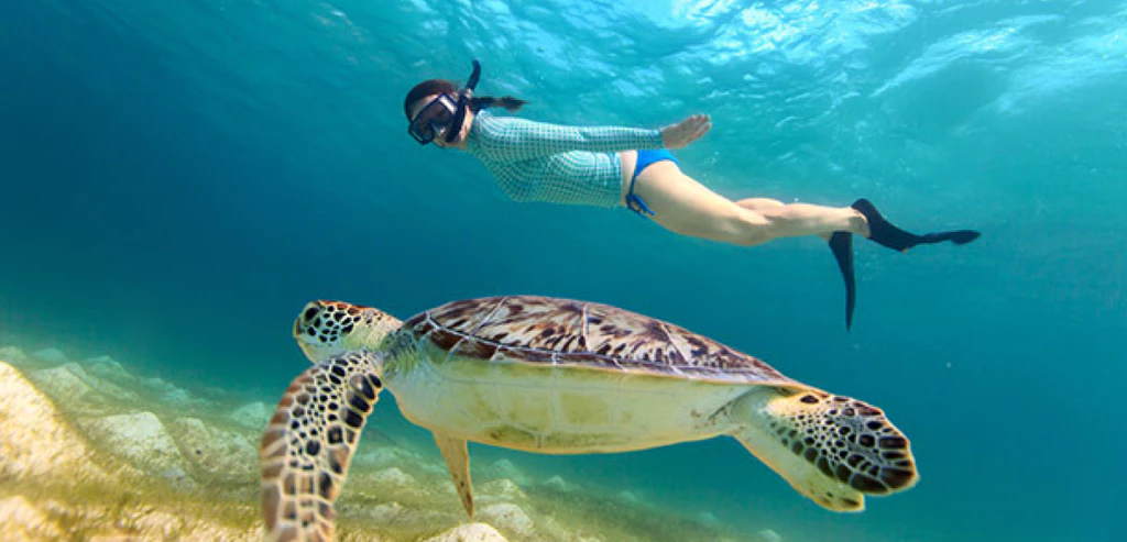 Zanzibar, welcome to paradise !