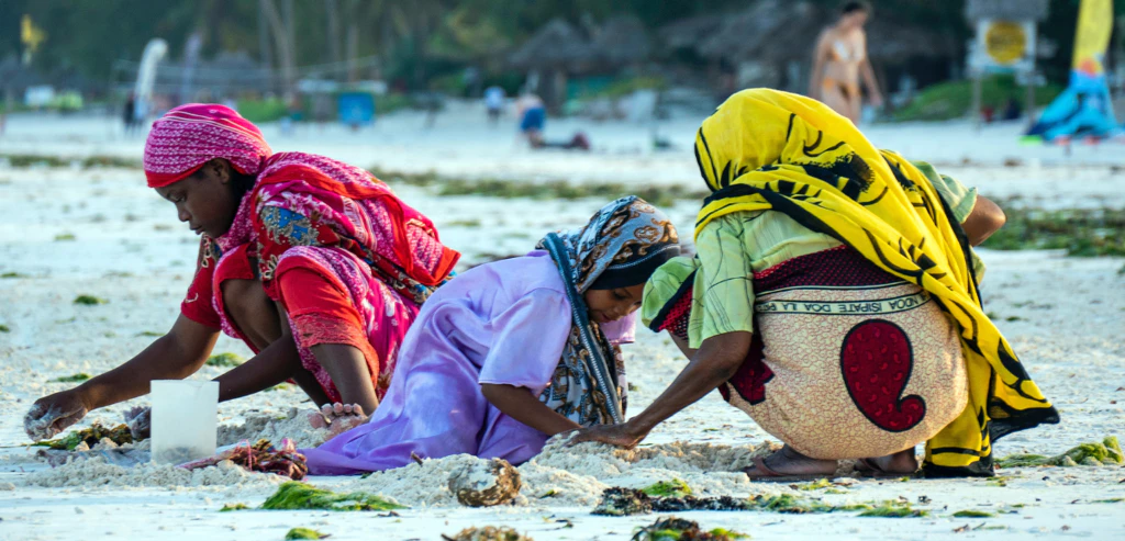 Zanzibar, welcome to paradise !