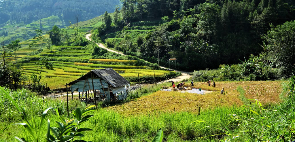 Destination Vietnam en mode baroudeuse