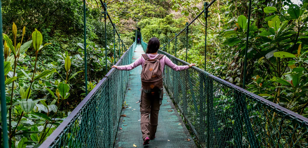 E2b6702b C497 415c 8540 650b24043f8a