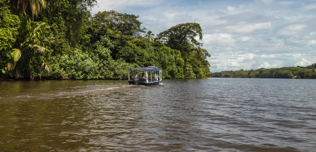 Circuit Costa Rica, de Tortuguero au Pacifique