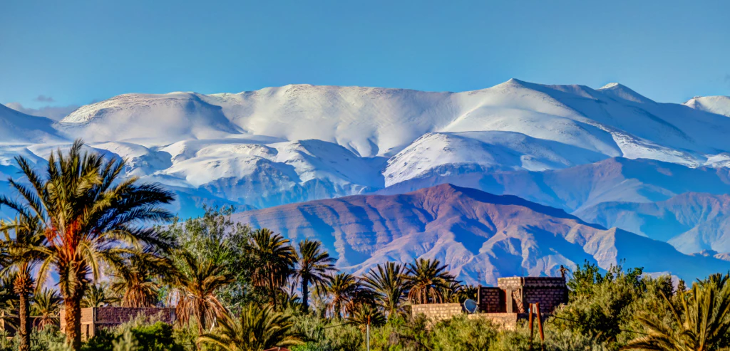 Détente aux portes du désert