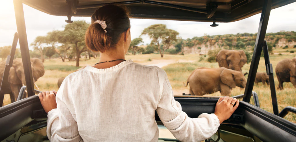 Safari en Tanzanie, sur la piste des Big Five