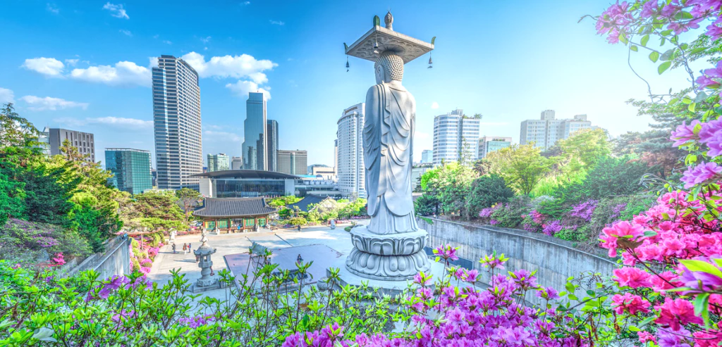 Echappée belle en Corée du Sud