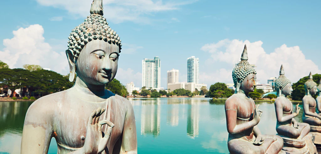 Expérience Sri Lanka