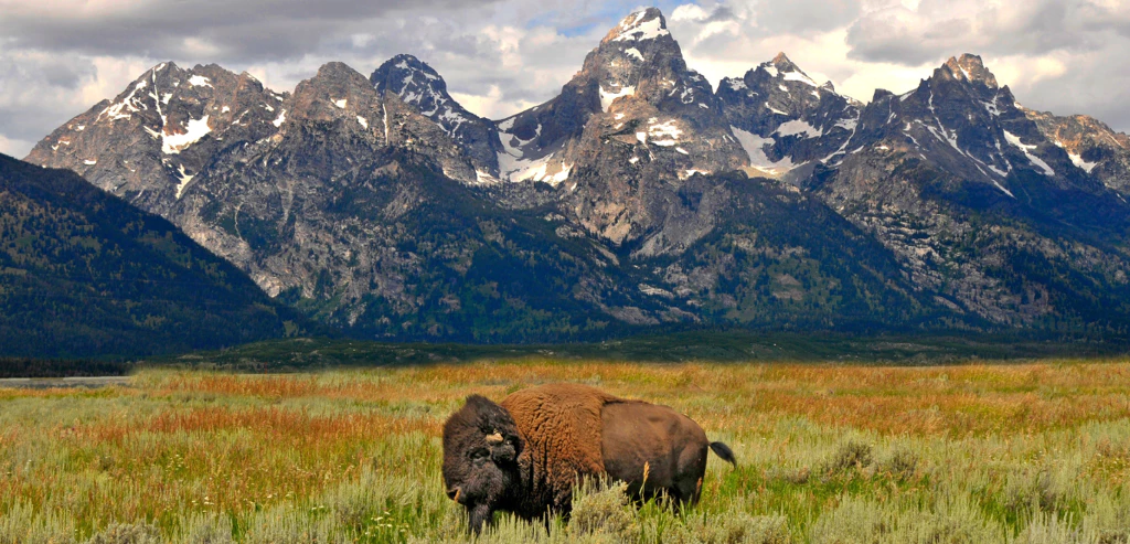 Circuit au coeur des Rocheuses américaines