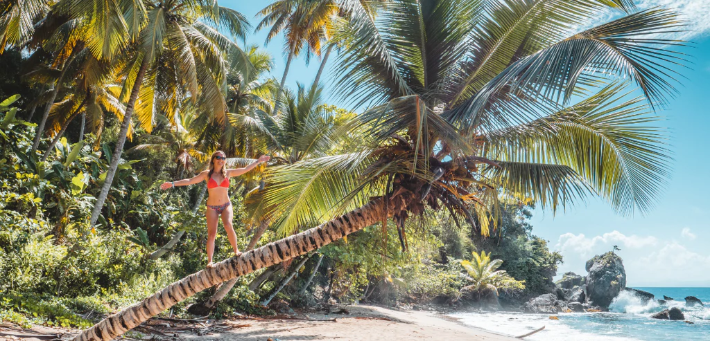 Villa de charme et plages secrètes en Rep Dom